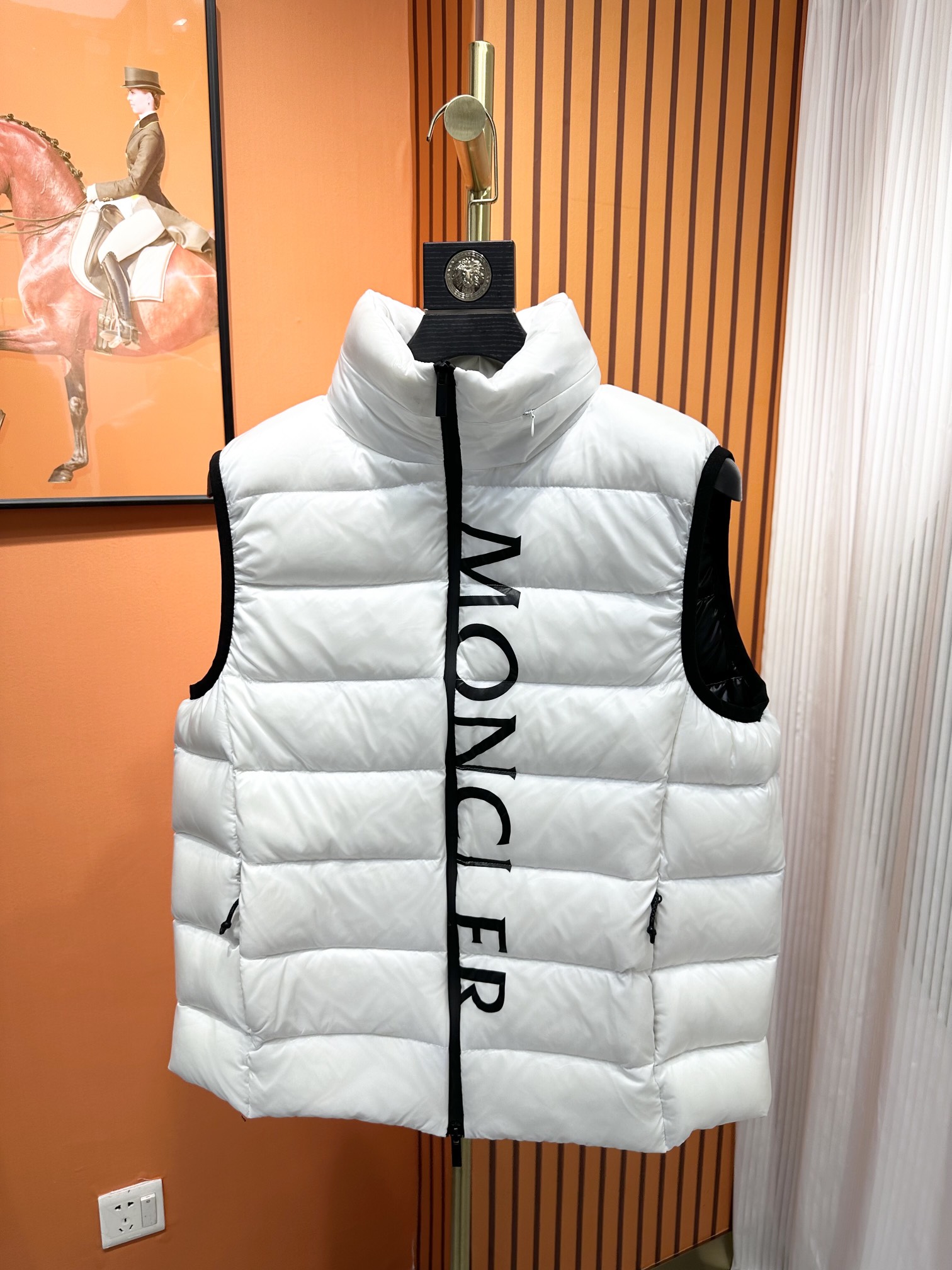 Moncler Down Jackets